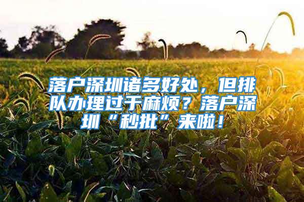 落户深圳诸多好处，但排队办理过于麻烦？落户深圳“秒批”来啦！