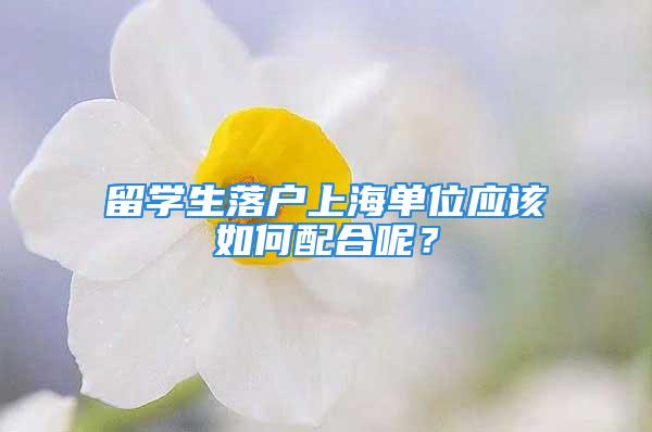 留学生落户上海单位应该如何配合呢？