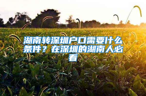 湖南转深圳户口需要什么条件？在深圳的湖南人必看