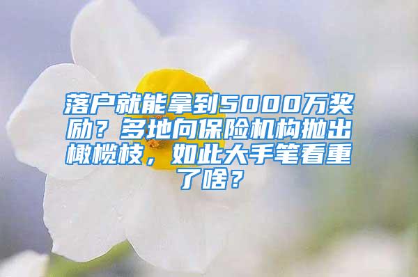 落户就能拿到5000万奖励？多地向保险机构抛出橄榄枝，如此大手笔看重了啥？