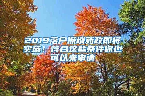 2019落户深圳新政即将实施！符合这些条件你也可以来申请