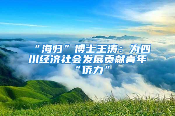 “海归”博士王涛：为四川经济社会发展贡献青年“侨力”