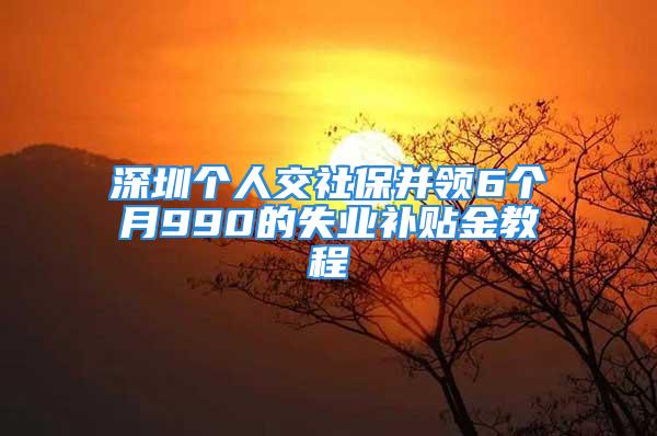 深圳个人交社保并领6个月990的失业补贴金教程