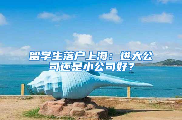 留学生落户上海：进大公司还是小公司好？