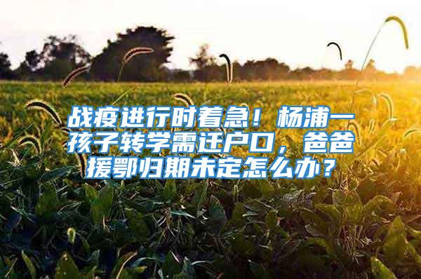 战疫进行时着急！杨浦一孩子转学需迁户口，爸爸援鄂归期未定怎么办？