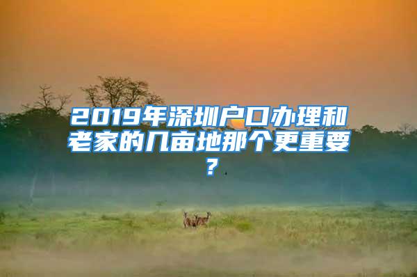 2019年深圳户口办理和老家的几亩地那个更重要？