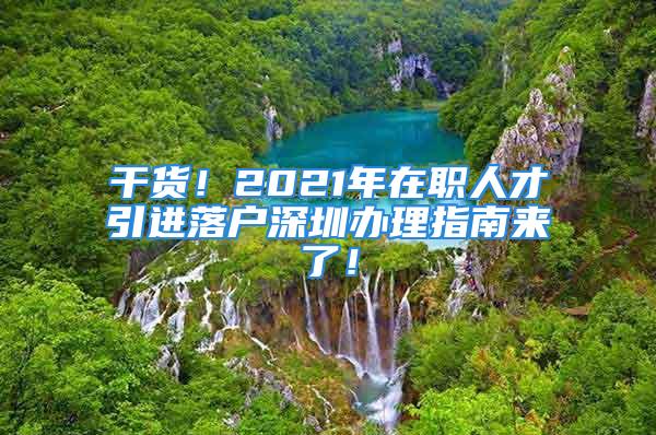 干货！2021年在职人才引进落户深圳办理指南来了！