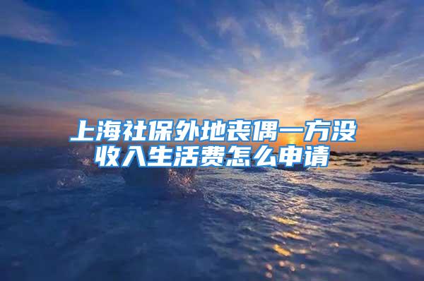 上海社保外地丧偶一方没收入生活费怎么申请