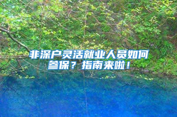 非深户灵活就业人员如何参保？指南来啦！