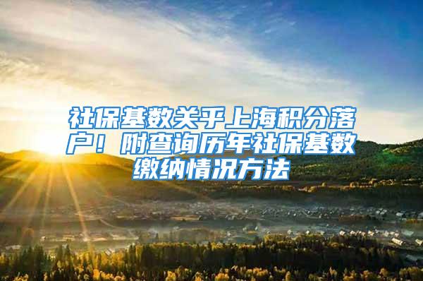 社保基数关乎上海积分落户！附查询历年社保基数缴纳情况方法