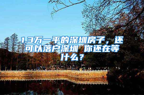 1.3万一平的深圳房子，还可以落户深圳 你还在等什么？