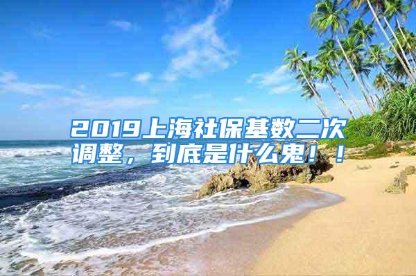 2019上海社保基数二次调整，到底是什么鬼！！