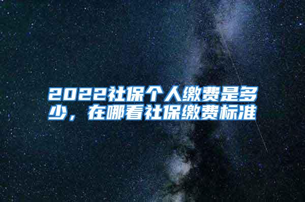 2022社保个人缴费是多少，在哪看社保缴费标准