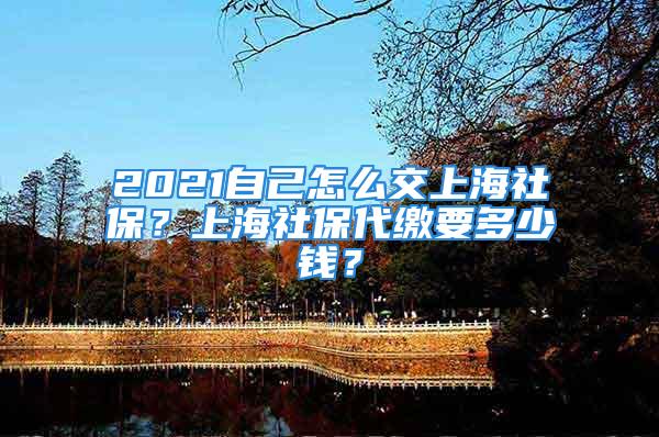 2021自己怎么交上海社保？上海社保代缴要多少钱？