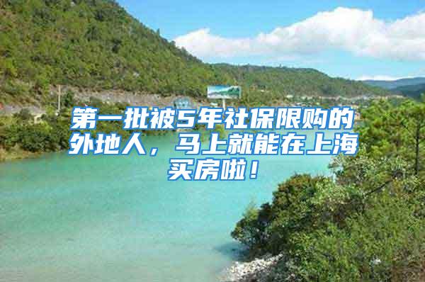 第一批被5年社保限购的外地人，马上就能在上海买房啦！