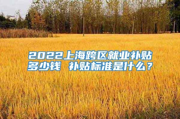 2022上海跨区就业补贴多少钱 补贴标准是什么？