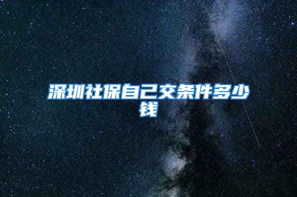 深圳社保自己交条件多少钱