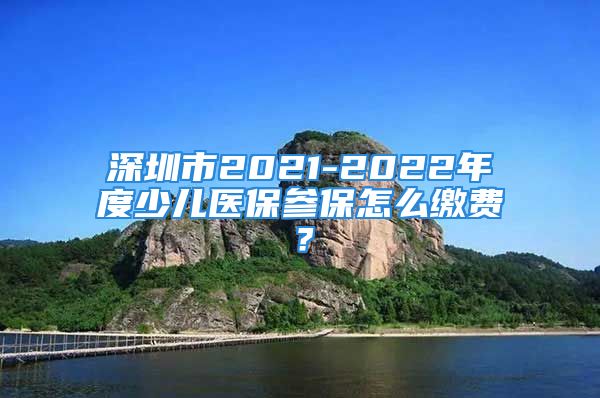 深圳市2021-2022年度少儿医保参保怎么缴费？