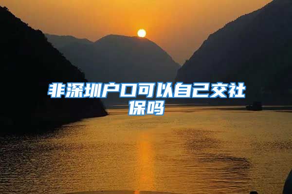 非深圳户口可以自己交社保吗